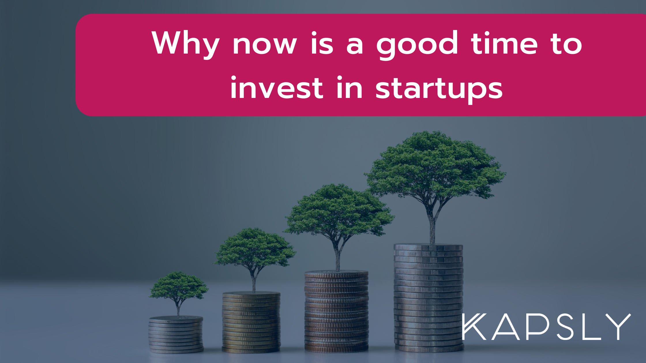 Now is a great time to invest in startups.
